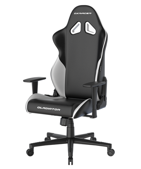 КОМПЬЮТЕРНОЕ ИГРОВОЕ КРЕСЛО DXRACER OH/G2300/NW Черный, белый - фото 10752