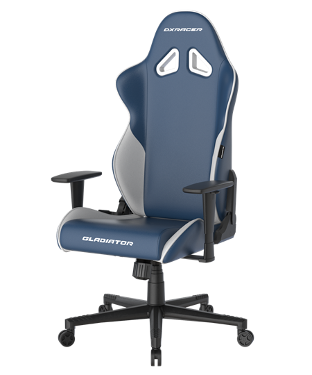 КОМПЬЮТЕРНОЕ ИГРОВОЕ КРЕСЛО DXRACER OH/G2300/BW Белый, синий - фото 10772